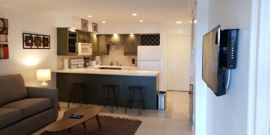 Living Room and Breakfast Bar